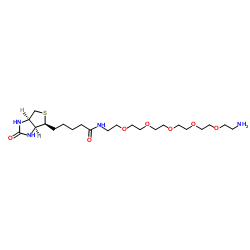 生物素-六聚乙二醇-氨基、Biotin-PEG5-NH2