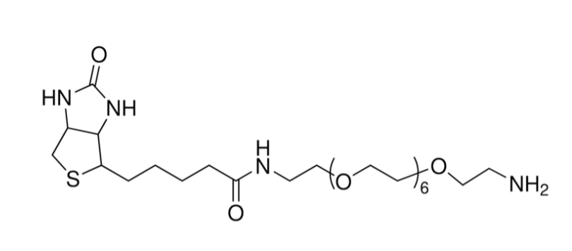 cas:1334172-76-7、生物素-八聚乙二醇-氨基、Biotin-dPEG7-NH2