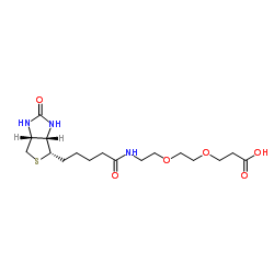 cas:1365655-89-5、BIOTIN-二聚乙二醇-丙酸、(+)-Biotin-PEG2-CH2CH2COOH