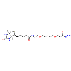 生物素三聚乙二醇酰肼、(+)-Biotin-PEG3-hydrazide