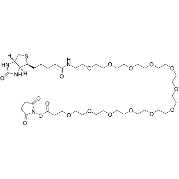 cas:1934296-88-4、生物素-十二聚乙二醇-活性酯、Biotin-PEG12-NHS Ester
