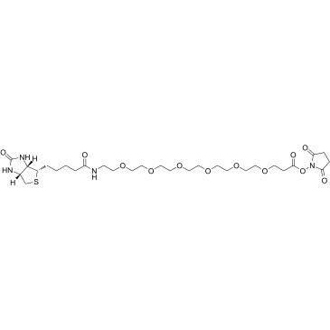 生物素-六聚乙二醇-丙烯酸琥珀酰亚胺酯、(+)-Biotin-PEG6-NHS Ester