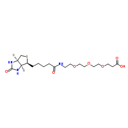 生物素-二聚乙二醇-羧酸、Biotin-PEG3-COOH