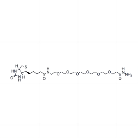 cas:2601437-70-9、生物素-六聚乙二醇-酰肼、Biotin-PEG6-hydrazide