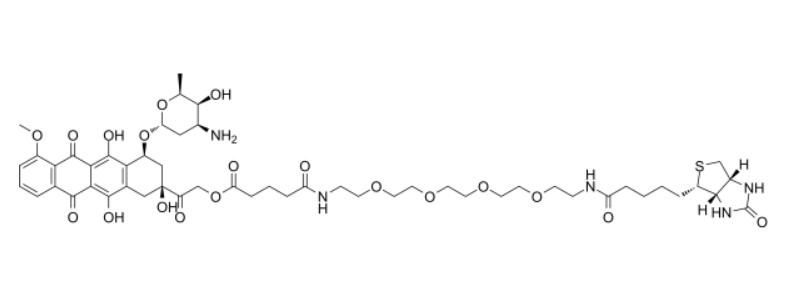 cas:3026061-30-0、生物素标记的阿霉素、Biotin-doxorubicin