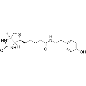 cas:41994-02-9、生物素基酪氨酰胺、Biotinyl tyramide