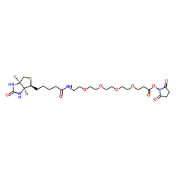 生物素四聚乙二醇琥珀酰亚胺酯、(+)-Biotin-PEG4-NHS Ester