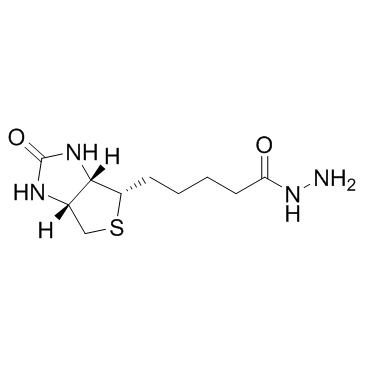 生物素酰肼、Biotin-Hydrazide