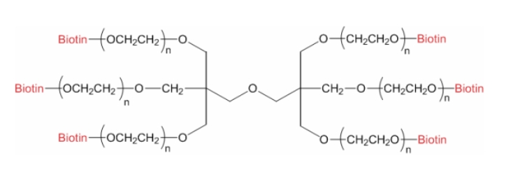 六臂聚乙二醇生物素、6ARM-PEG-Biotin