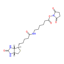 6-生物素氨己酸N-琥珀酰亚胺酯、LC-NHS-(+)-Biotin