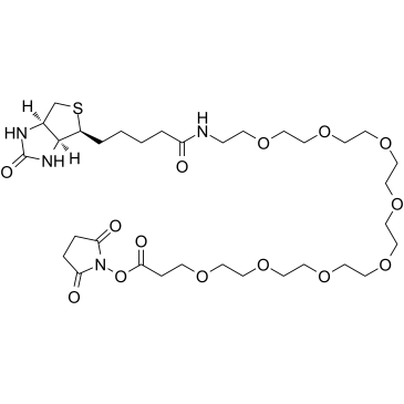 cas:2143968-03-8、生物素-八聚乙二醇-丙烯酸琥珀酰亚胺酯、Biotin-peg8-nhs ester