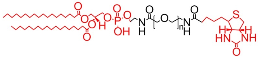 生物素PEG二硬脂酰磷脂酰乙醇胺、Biotin-PEG-DSPE