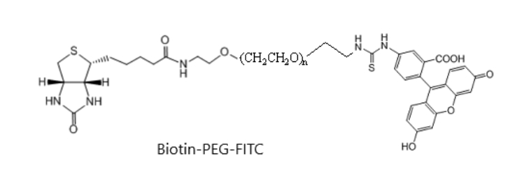 生物素聚乙二醇荧光素、Biotin-PEG-FITC