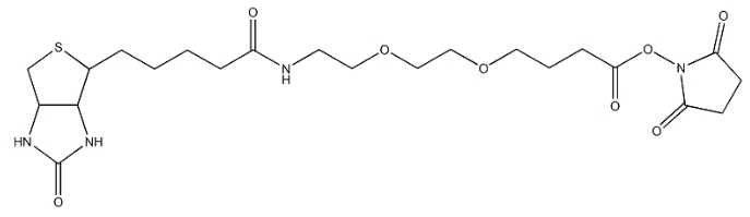 活性酯PEG生物素、Biotin-PEG-NHS