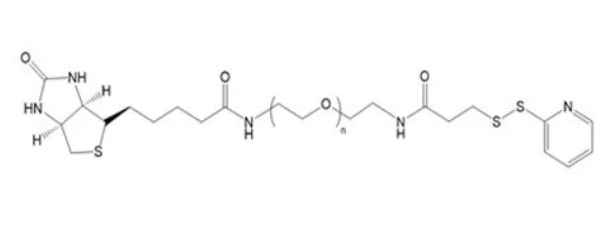 生物素聚乙二醇巯基吡啶、Biotin-PEG-OPSS