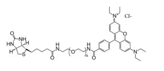 生物素聚乙二醇罗丹明B、Biotin-PEG-RB