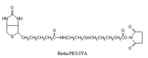 生物素聚乙二醇琥珀酰亚胺戊酸、Biotin-PEG-SVA