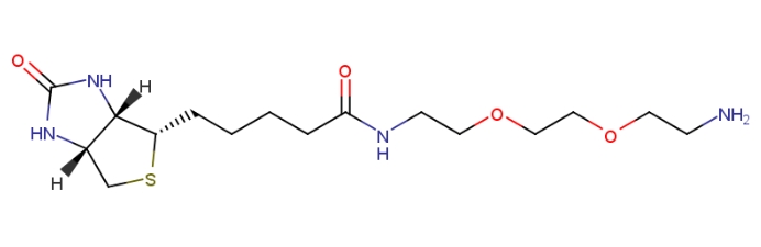 N-生物素-3,6-二氧杂辛烷-1,8-二胺、Biotin-PEG2-NH2