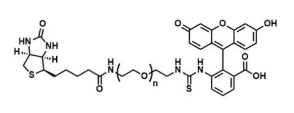 含有荧光素和生物素的PEG、Biotin-PEG2000-FITC