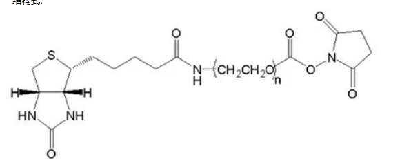 生物素PEG活性酯、Biotin-PEG5000-NHS