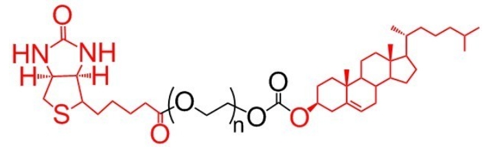 胆固醇PEG生物素、CLS-PEG-Biotin