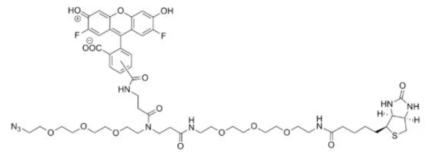 荧光素-生物素-叠氮、Fluorescein-Biotin-Azide