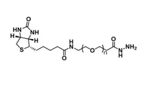 酰肼PEG生物素、Hydrazide-PEG-Biotin