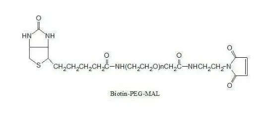 马来酰亚胺聚乙二醇生物素、Mal-PEG-Biotin