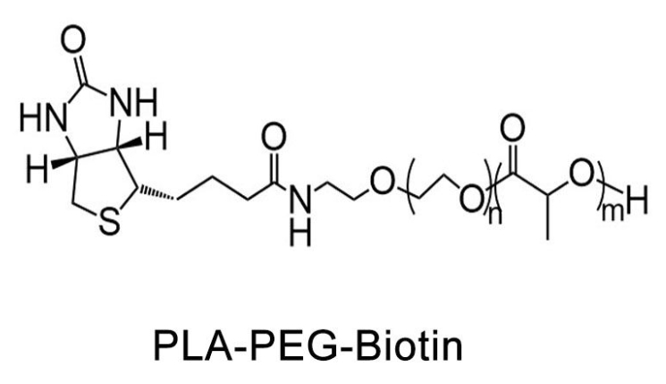 聚乳酸-聚乙二醇-生物素、PLA-PEG-Biotin