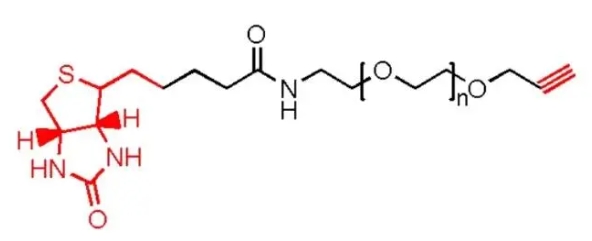 生物素聚乙二醇炔基、Biotin-PEG-Alkyne