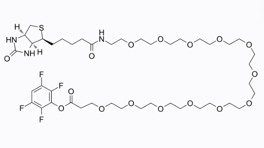 cas:2055105-33-2、生物素-十二聚乙二醇-四氟苯酚酯、Biotin-PEG12-TFP ester