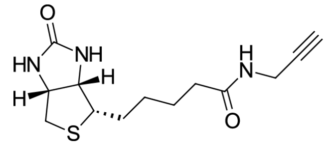 cas:773888-45-2、生物素-炔基、Biotin alkyne