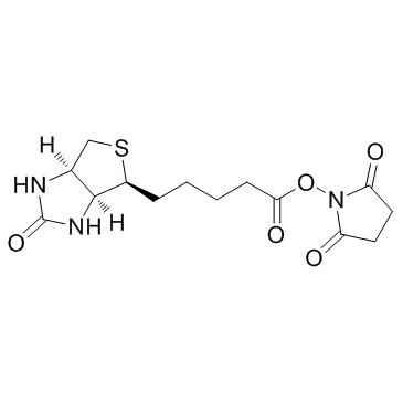 cas:35013-72-0、(+)生物素-N-琥珀酰亚胺基酯、Biotin NHS