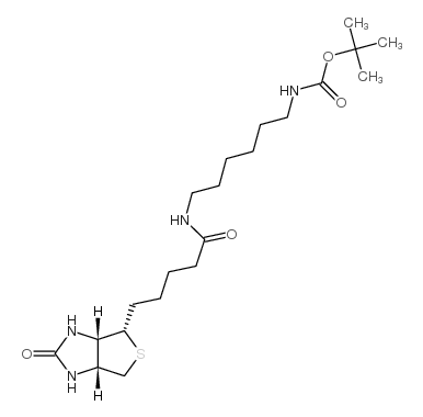cas:153162-70-0、N-叔丁氧羰基-6-生物素氨基己胺、N-Boc-6-Biotinamidohexylamine