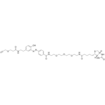 cas:1884349-58-9、重氮生物素三聚乙二醇炔基、Diazo Biotin-PEG3-alkyne
