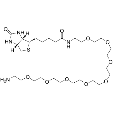 cas:2183447-27-8、生物素八聚乙二醇氨基、Biotin-PEG8-amine