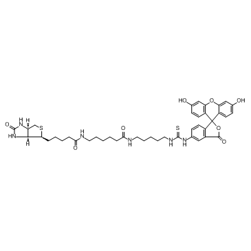 cas:134759-22-1、生物素-异硫氰酸荧光素、5-FITC Biotin