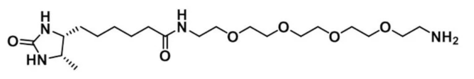 cas:2306109-91-9、脱硫生物素-四聚乙二醇-胺、Desthiobiotin-PEG4-Amine