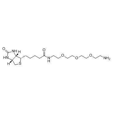 cas:359860-27-8、生物素三聚乙二醇氨基、Biotin-PEG3-NH2