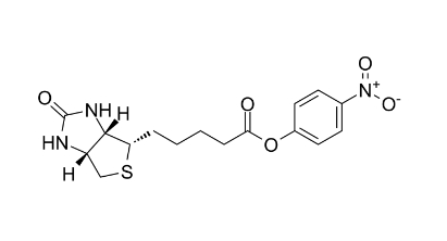 cas:33755-53-2、(+)-生物素对硝基苯酯、(+)-Biotin-ONP