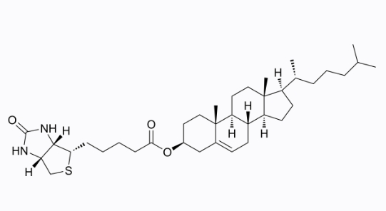 cas:2454045-15-7、生物素-白桦脂醇、Biotin-cholesterol