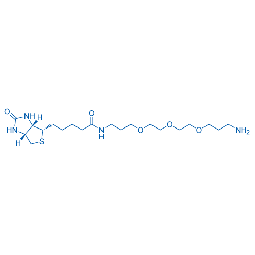 cas:183896-00-6、生物素-三聚乙二醇-C3-氨基、Biotin-PEG3-C3-NH2