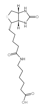cas:72040-64-3、N-生物素己酸、N-Biotinyl-6-aminohexanoic acid