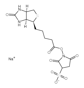 cas:119616-38-5、磺基琥珀生物素、Sulfo-NHS-Biotin