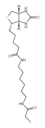 cas:93285-75-7、碘代乙酰基LC生物素、Iodoacetyl-LC-Biotin