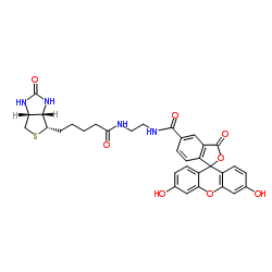 cas:1032732-74-3、生物素-4-荧光素、Biotin-4-FITC