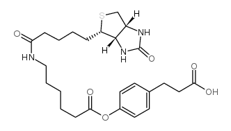 cas:83592-10-3、3-(4-(N-生物素-6-氨基己羧基)苯基)丙酸、3-(4-(N-Biotinoyl-6-aminocaproyloxy)phenyl)propionic acid