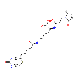 cas:102849-12-7、N-(3-马来酰亚胺丙酰基)生物胞素、N-(3-MaleiMidylpropionyl)biocytin