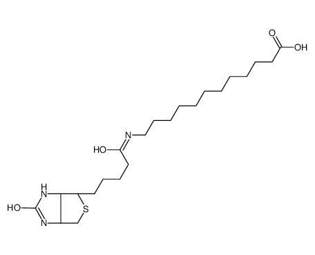 cas:135447-73-3、N-生物素十二烷基酸、N-biotinyl-dodecanoic acid