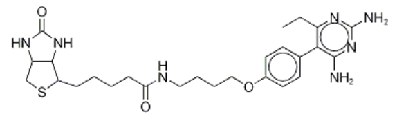 cas:1255942-07-4、乙胺嘧啶生物素、Pyrimethamine Biotin